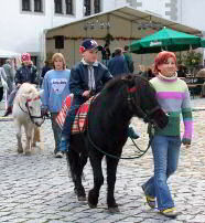 Gefhrtes Reiten